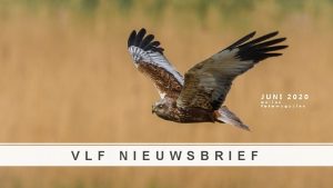 pagina VLF NIEUWSBRIEF 1 JUNI 2020 o n