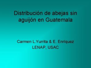 Distribucin de abejas sin aguijn en Guatemala Carmen