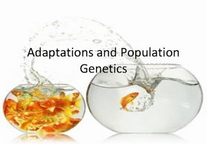Adaptations and Population Genetics Evolution Evidence of Evolution