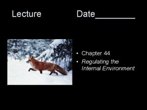Lecture Date Chapter 44 Regulating the Internal Environment