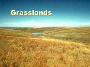 Grasslands Savanna Tropical Savannas Tropical Savannas areas of