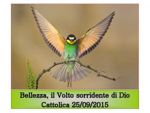 Bellezza il Volto sorridente di Dio Cattolica 25092015