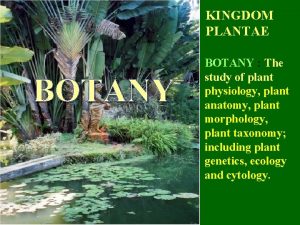 KINGDOM PLANTAE BOTANY The study of plant physiology