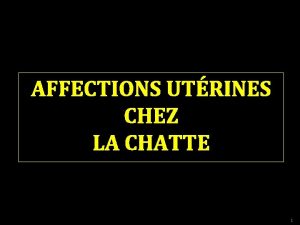 AFFECTIONS UTRINES CHEZ LA CHATTE 1 Saison sexuelle