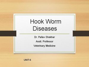 Hook Worm Diseases Dr Pallav Shekhar Asstt Professor