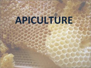 APICULTURE APICULTURE Apiculture is the management and study