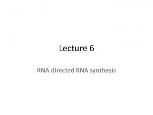 Lecture 6 RNA directed RNA synthesis Some RNA