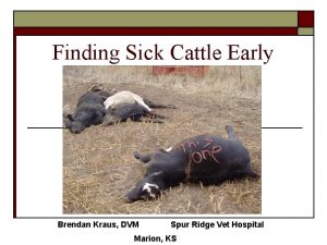 Finding Sick Cattle Early Brendan Kraus DVM Spur
