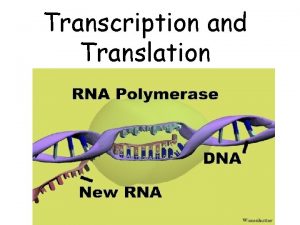 Transcription and Translation What is Transcription It is