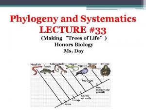 Phylogeny and Systematics LECTURE 33 Making Trees of