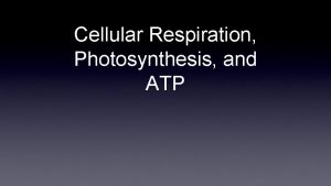 Cellular Respiration Photosynthesis and ATP ATP ENERGY ATP