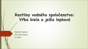 Rastliny vodnho spoloenstva Vba biela a jela lepkav