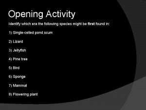 Opening Activity Identify which era the following species