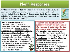 Plant Responses Plants must respond to the environment