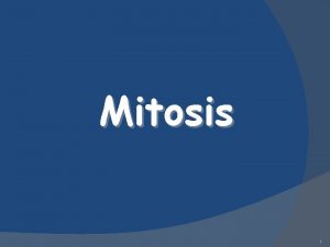 Mitosis 1 Division Mitosis of the nucleus Also