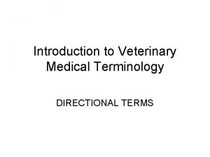 Introduction to Veterinary Medical Terminology DIRECTIONAL TERMS Outline