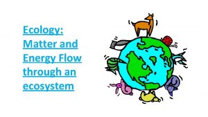 Ecology Matter and Energy Flow through an ecosystem