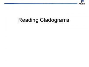 Reading Cladograms Reading a cladogram A quick review