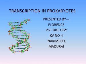 TRANSCRIPTION IN PROKARYOTES PRESENTED BY FLORENCE PGT BIOLOGY