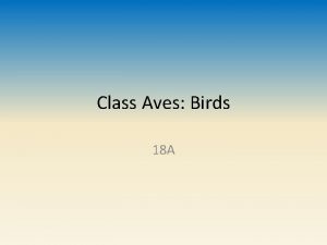 Class Aves Birds 18 A Common Characteristics Covered