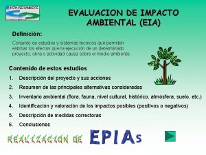 EVALUACION DE IMPACTO AMBIENTAL EIA Definicin Conjunto de