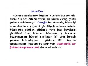 Hcre Zar Hcrede stoplazmay kuatan hcre ii sv