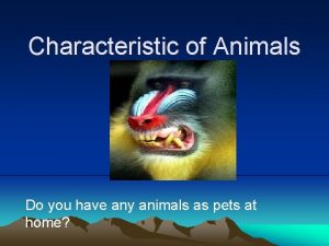 Characteristic of Animals Do you have any animals