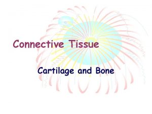 Connective Tissue Cartilage and Bone Cartilage Develops from