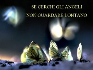 SE CERCHI GLI ANGELI NON GUARDARE LONTANO essi