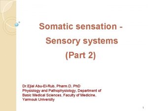 Somatic sensation Sensory systems Part 2 Dr Ejlal