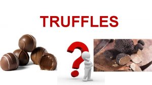 TRUFFLES Truffles are a prized culinary ingredient They