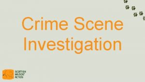 Crime Scene Investigation CSI Cairngorms National Park We