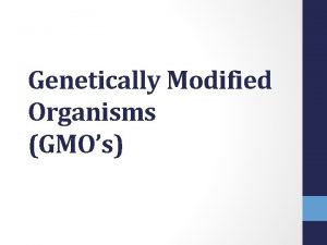 Genetically Modified Organisms GMOs What is a Genetically