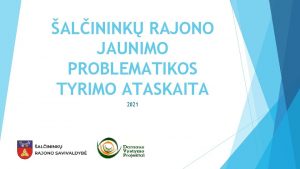 ALININK RAJONO JAUNIMO PROBLEMATIKOS TYRIMO ATASKAITA 2021 Kam