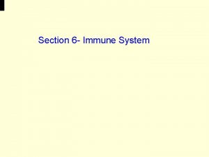 Section 6 Immune System What is Immunity Immunity