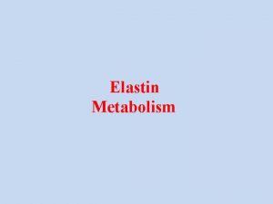 Elastin Metabolism What is Elastin There is only