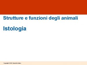 Strutture e funzioni degli animali Istologia Copyright 2006