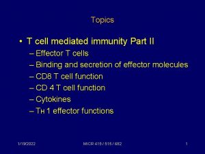 Topics T cell mediated immunity Part II Effector