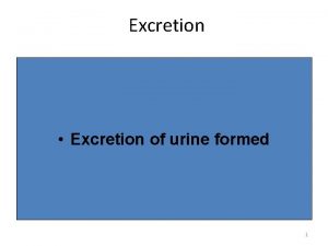 Excretion Excretion of urine formed 1 Life Cycle