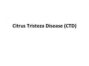 Citrus Tristeza Disease CTD Description Responsible for death