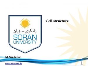 Cell structure M Saadatian www soran edu iq