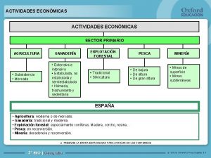 ACTIVIDADES ECONMICAS SECTOR PRIMARIO AGRICULTURA Subsistencia Mercado GANADERA
