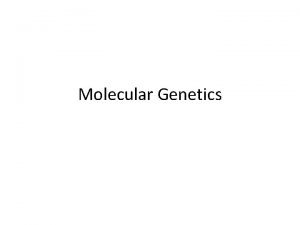 Molecular Genetics Structure of DNA Nucleotides Nucleic acids