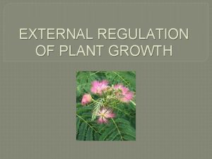 EXTERNAL REGULATION OF PLANT GROWTH Plants like all