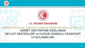 T C SERBEST BLGELER YURTDII YATIRIM VE HZMETLER