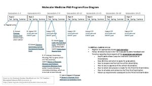 Molecular Medicine Ph D Program Flow Diagram Semesters