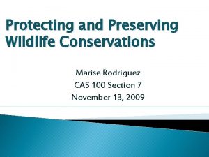 Protecting and Preserving Wildlife Conservations Marise Rodriguez CAS