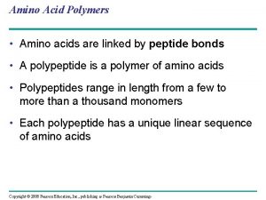 Amino Acid Polymers Amino acids are linked by