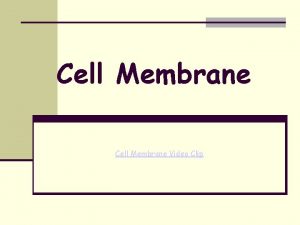 Cell Membrane Video Clip Cell Membrane Structure and