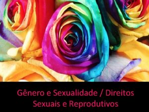 Gnero e Sexualidade Direitos Sexuais e Reprodutivos Sociedade